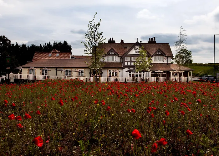 The Red Lion Inn By Chef & Brewer Collection